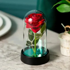 Cadeau St-Valentin lot d’ourson en roses avec sa rose éternelle
