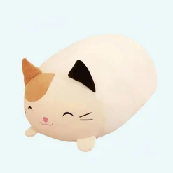 Peluche chat oreiller