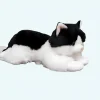 Peluche chaton noir