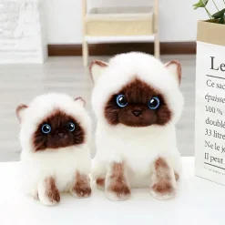 Peluche chaton siamois