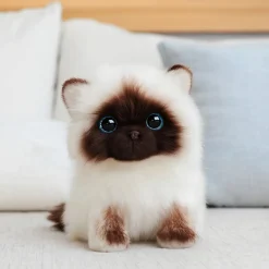 Peluche chaton siamois