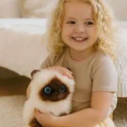 Peluche chaton siamois