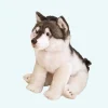 Peluche loup gris et blanc mignon