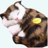 Peluche poupée chat tigré marron qui dort