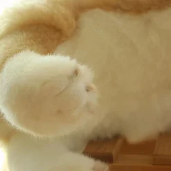 Peluches en forme de chien